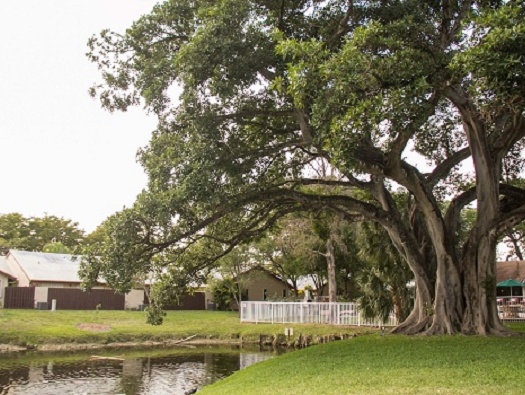 Pines West Photos Pines West Photos